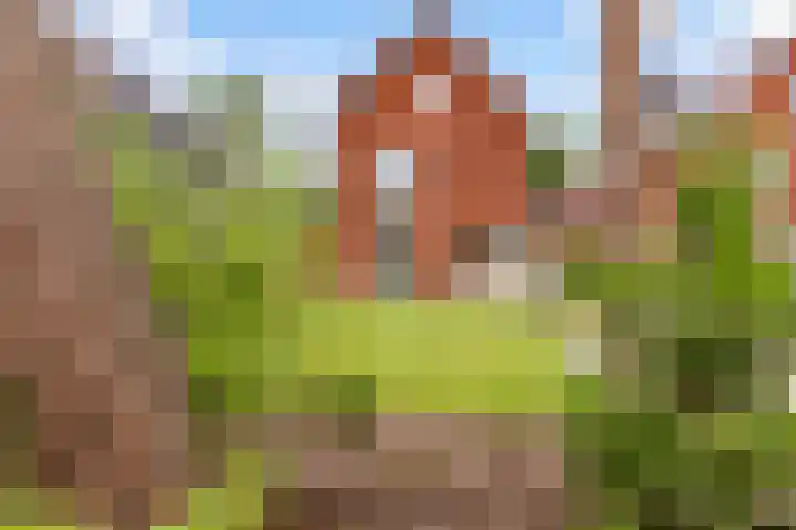 Amaliahof 5 a Ermelo thumbnail 76