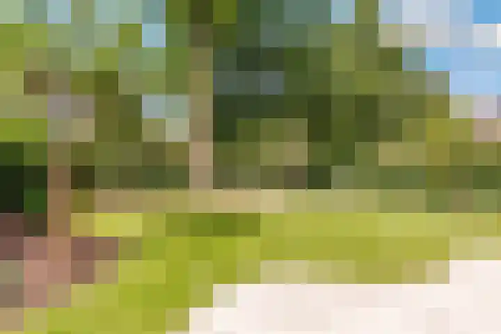 Amaliahof 5 a Ermelo thumbnail 82