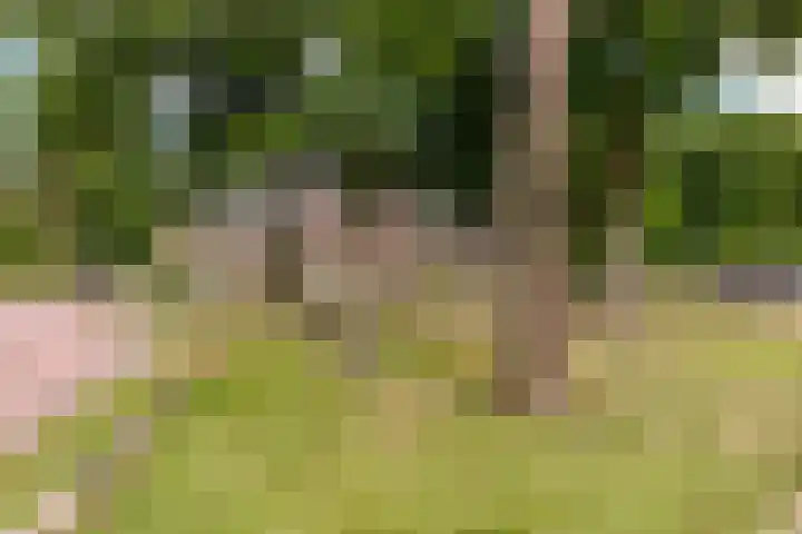 Amaliahof 5 a Ermelo thumbnail 85