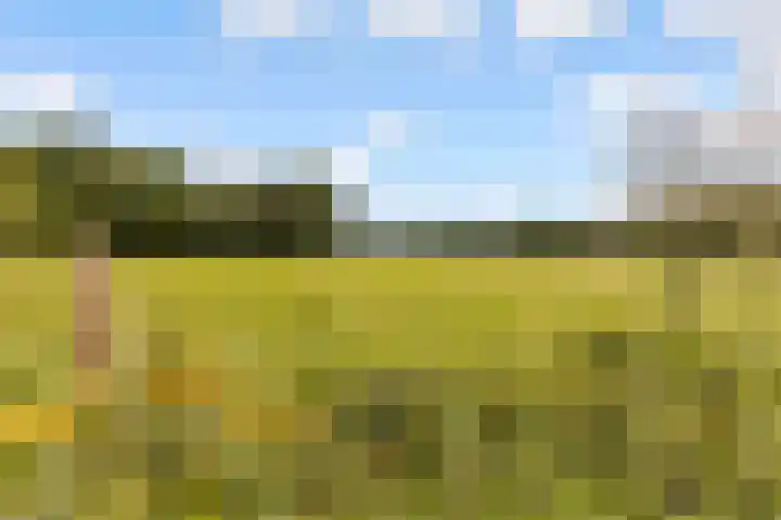 Amaliahof 5 a Ermelo thumbnail 86