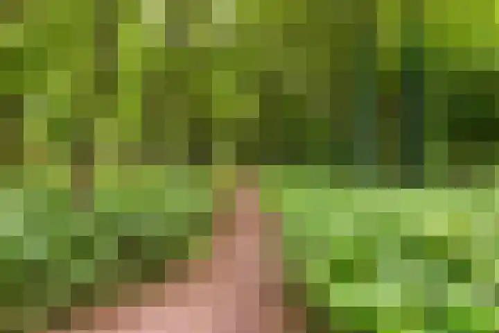 Amaliahof 5 a Ermelo thumbnail 87