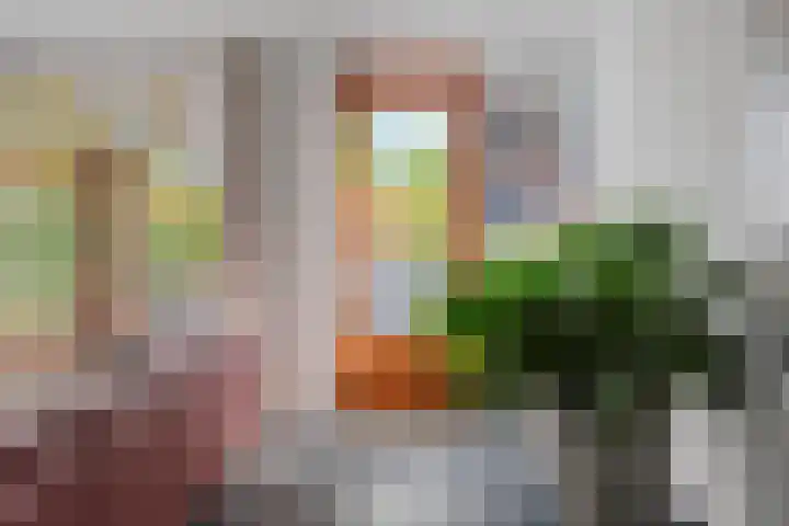 Amalialaan 13 Bladel thumbnail 15