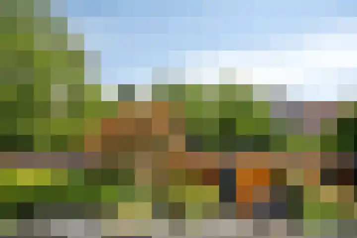 Amalialaan 13 Bladel thumbnail 20