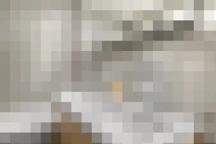 Amalialaan 13 Bladel thumbnail 22