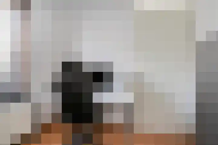 Amalialaan 13 Bladel thumbnail 25