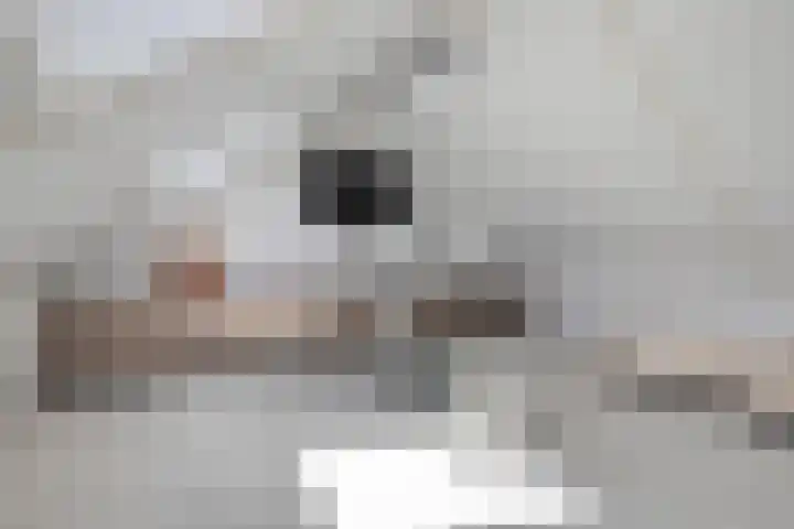 Amalialaan 13 Bladel thumbnail 29