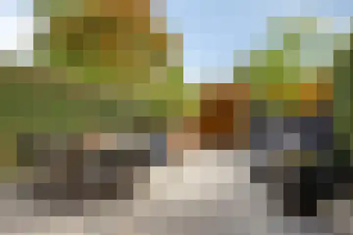 Amalialaan 13 Bladel thumbnail 30