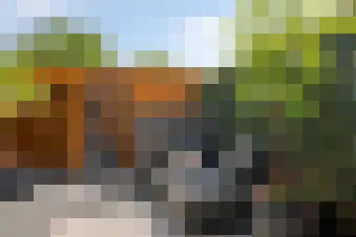 Amalialaan 13 Bladel thumbnail 31