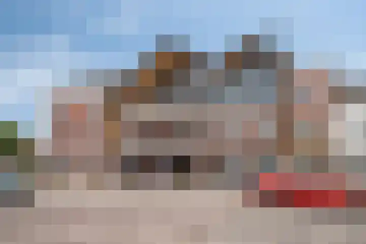 Amalialaan 13 Bladel thumbnail 38