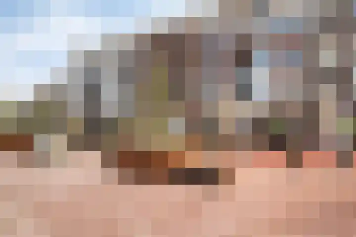 Amalialaan 13 Bladel thumbnail 39