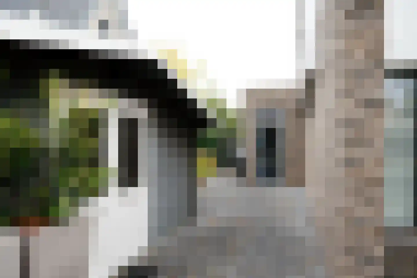 Amalialaan 27 Maasbracht thumbnail 11