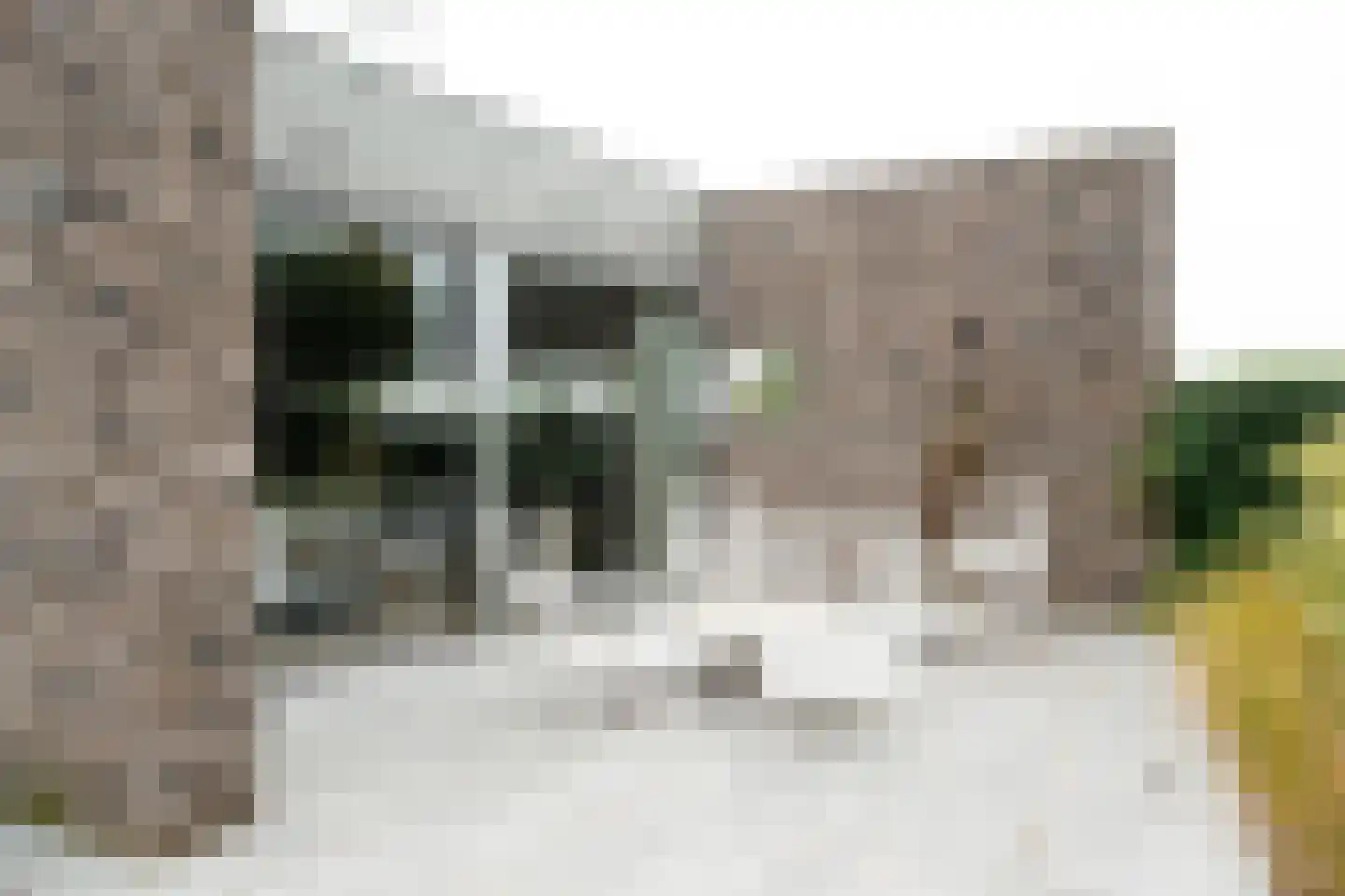 Amalialaan 27 Maasbracht thumbnail 12