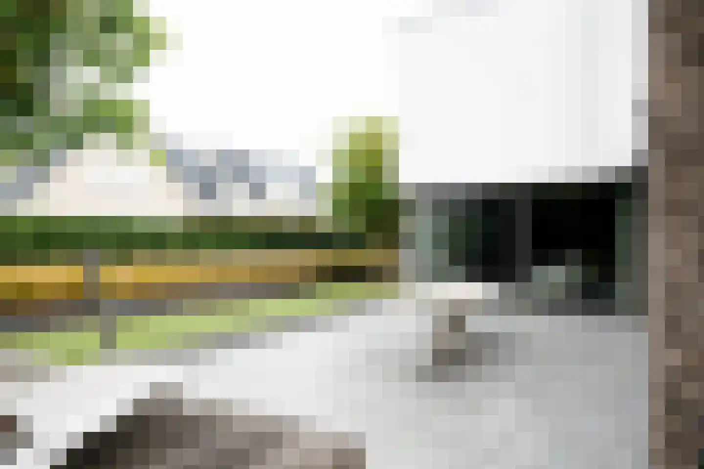Amalialaan 27 Maasbracht thumbnail 13