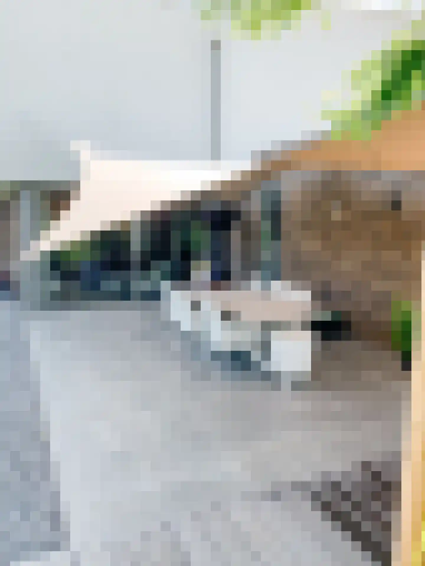 Amalialaan 27 Maasbracht thumbnail 14