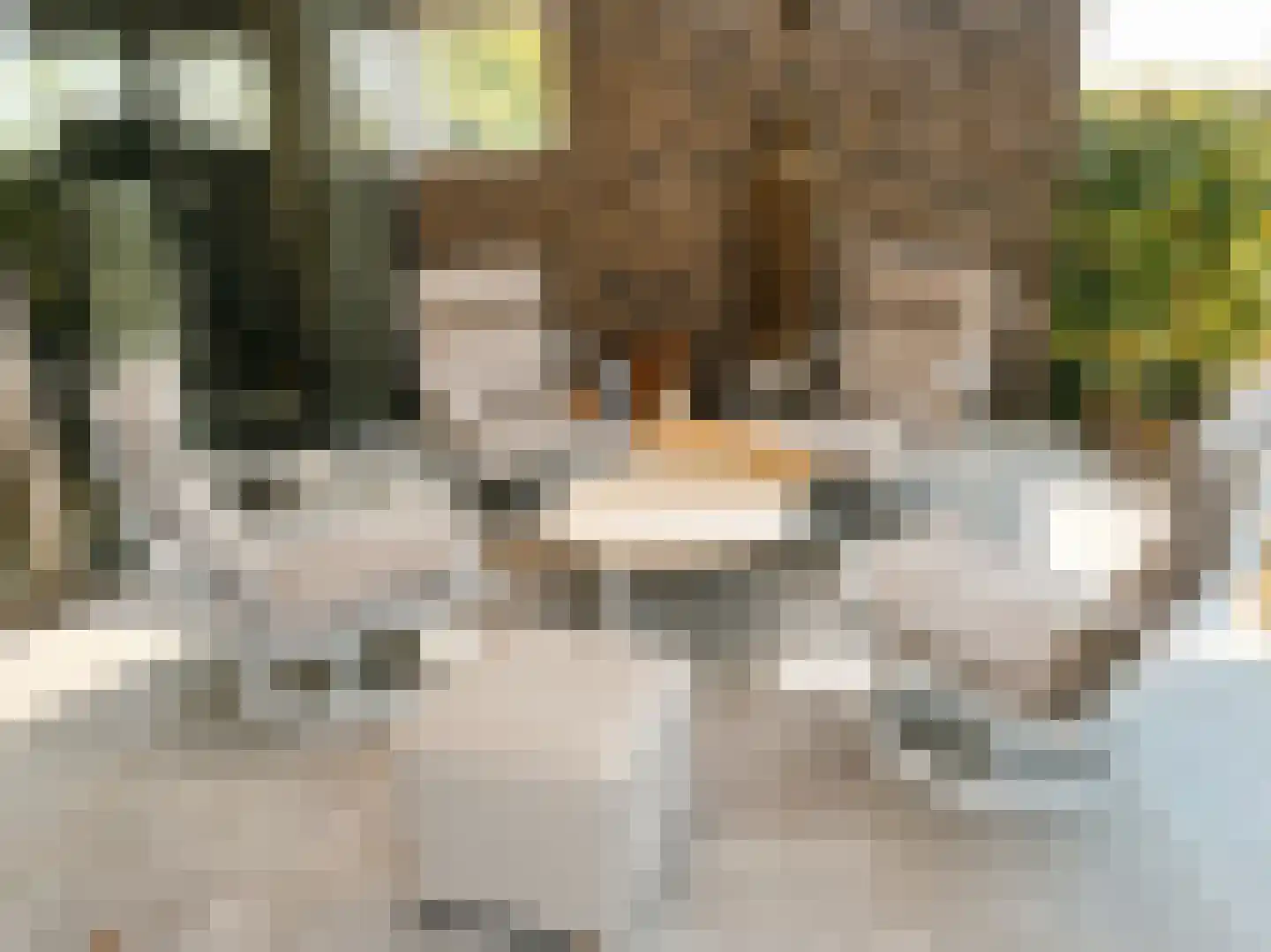 Amalialaan 27 Maasbracht thumbnail 17
