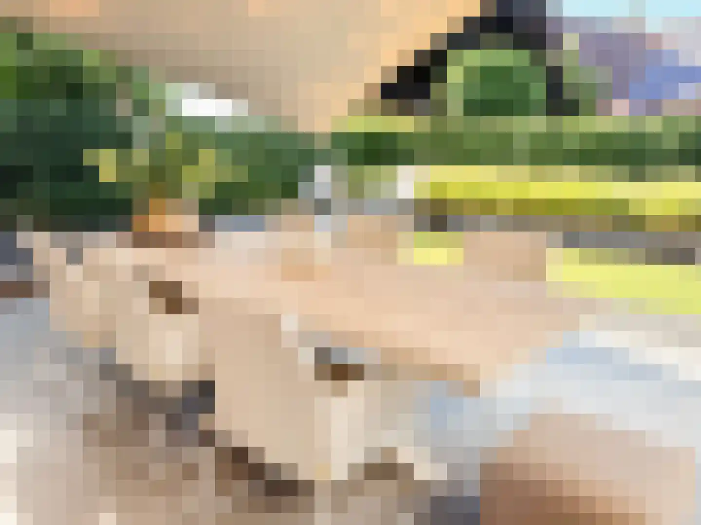 Amalialaan 27 Maasbracht thumbnail 18