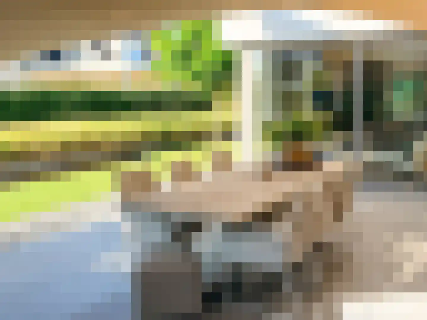 Amalialaan 27 Maasbracht thumbnail 19