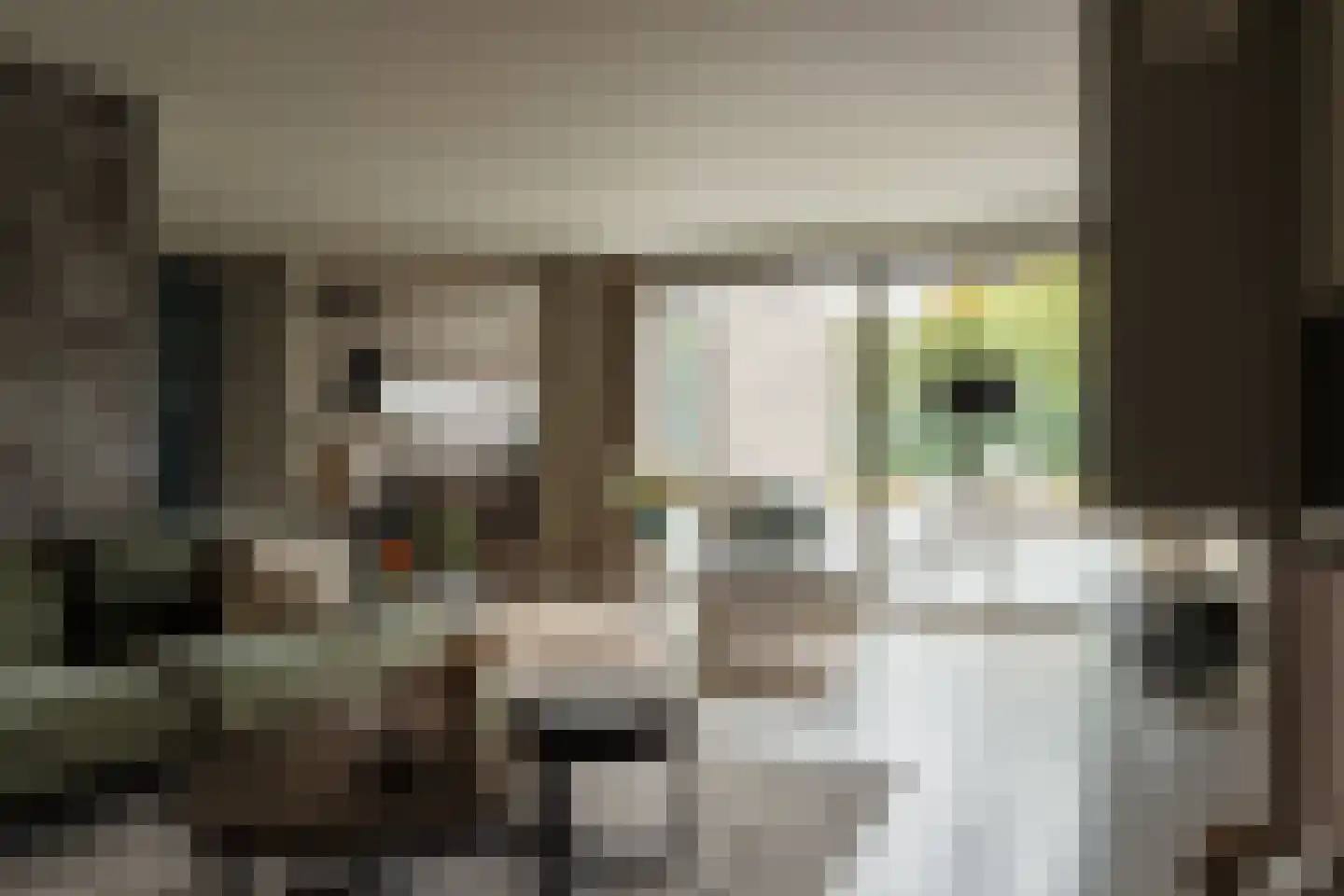 Amalialaan 27 Maasbracht thumbnail 20
