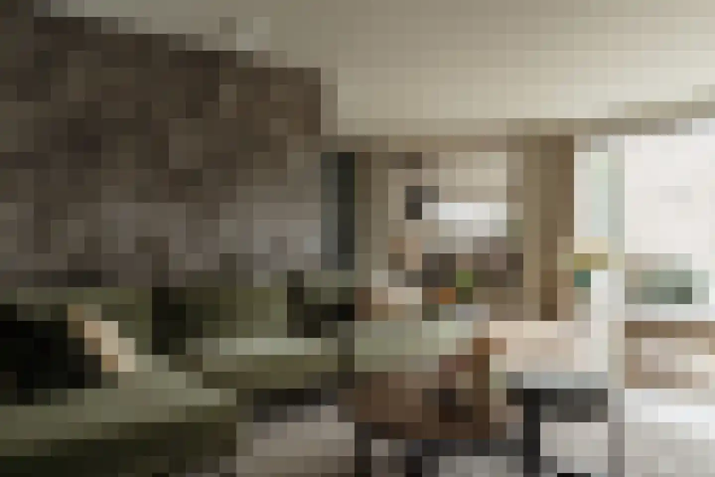 Amalialaan 27 Maasbracht thumbnail 21