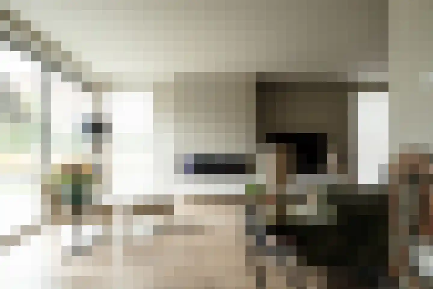 Amalialaan 27 Maasbracht thumbnail 24