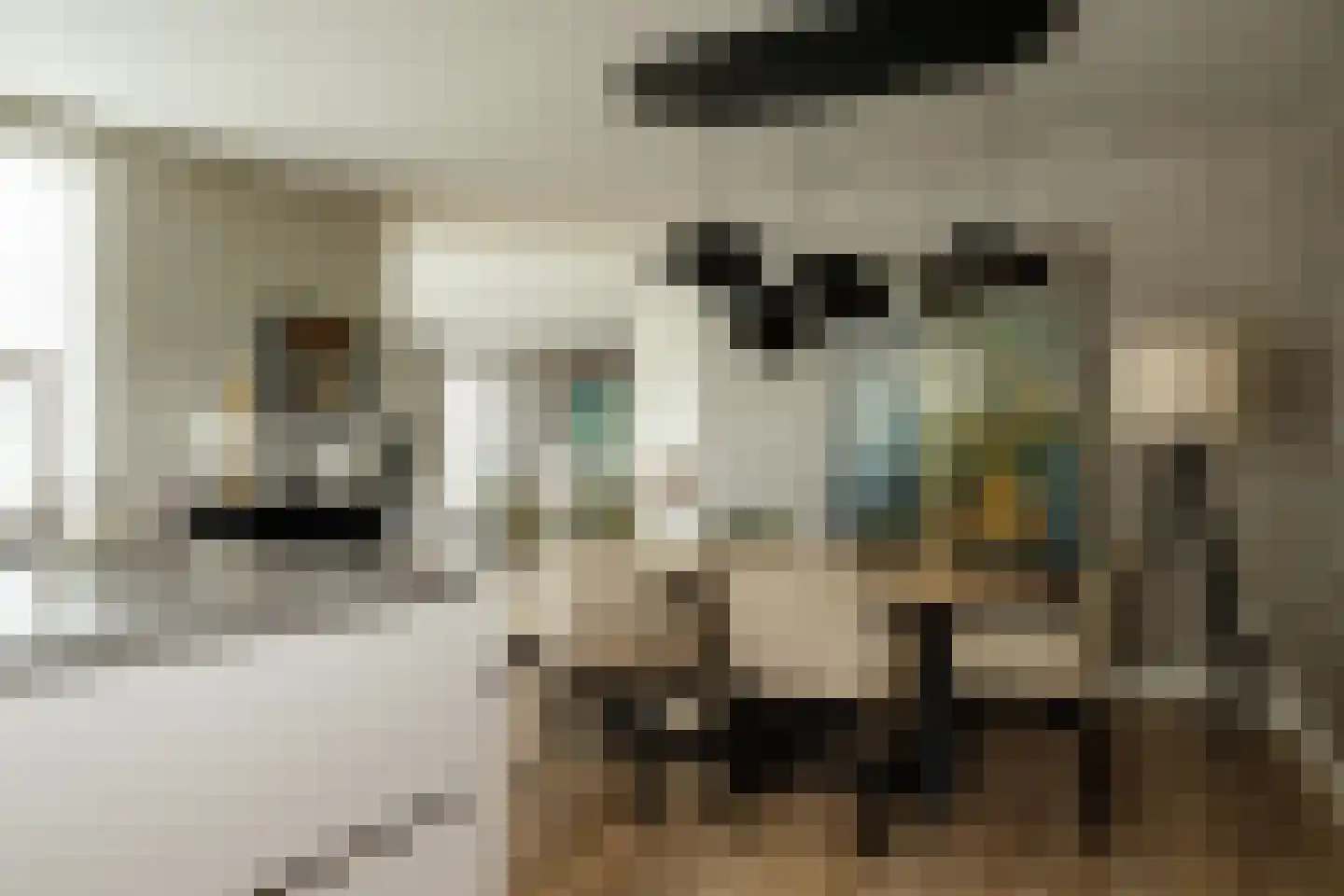 Amalialaan 27 Maasbracht thumbnail 26