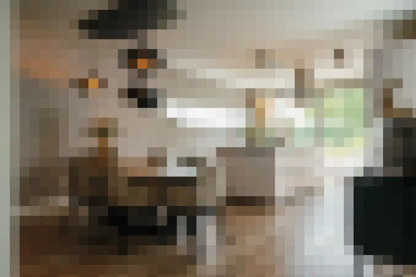Amalialaan 27 Maasbracht thumbnail 28
