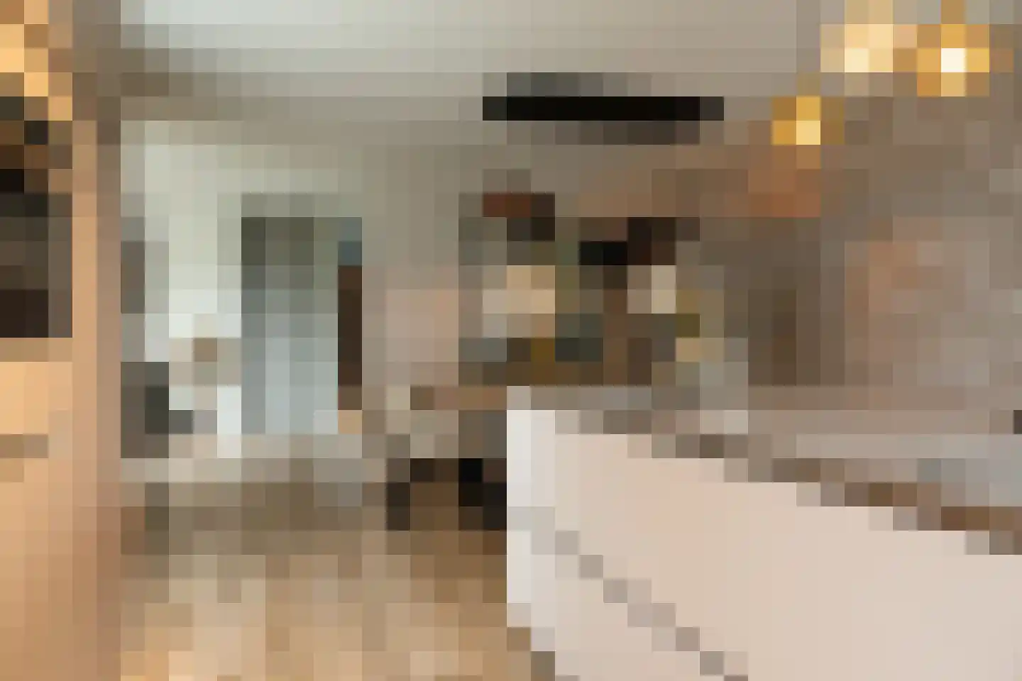 Amalialaan 27 Maasbracht thumbnail 29