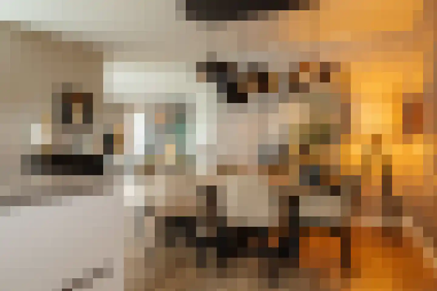 Amalialaan 27 Maasbracht thumbnail 30