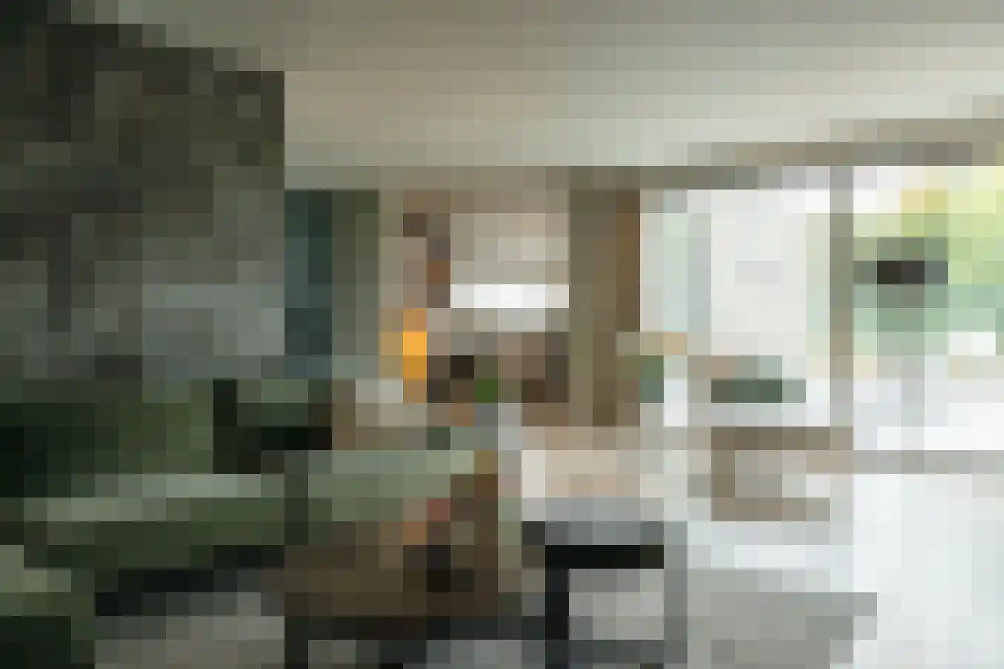 Amalialaan 27 Maasbracht thumbnail 36