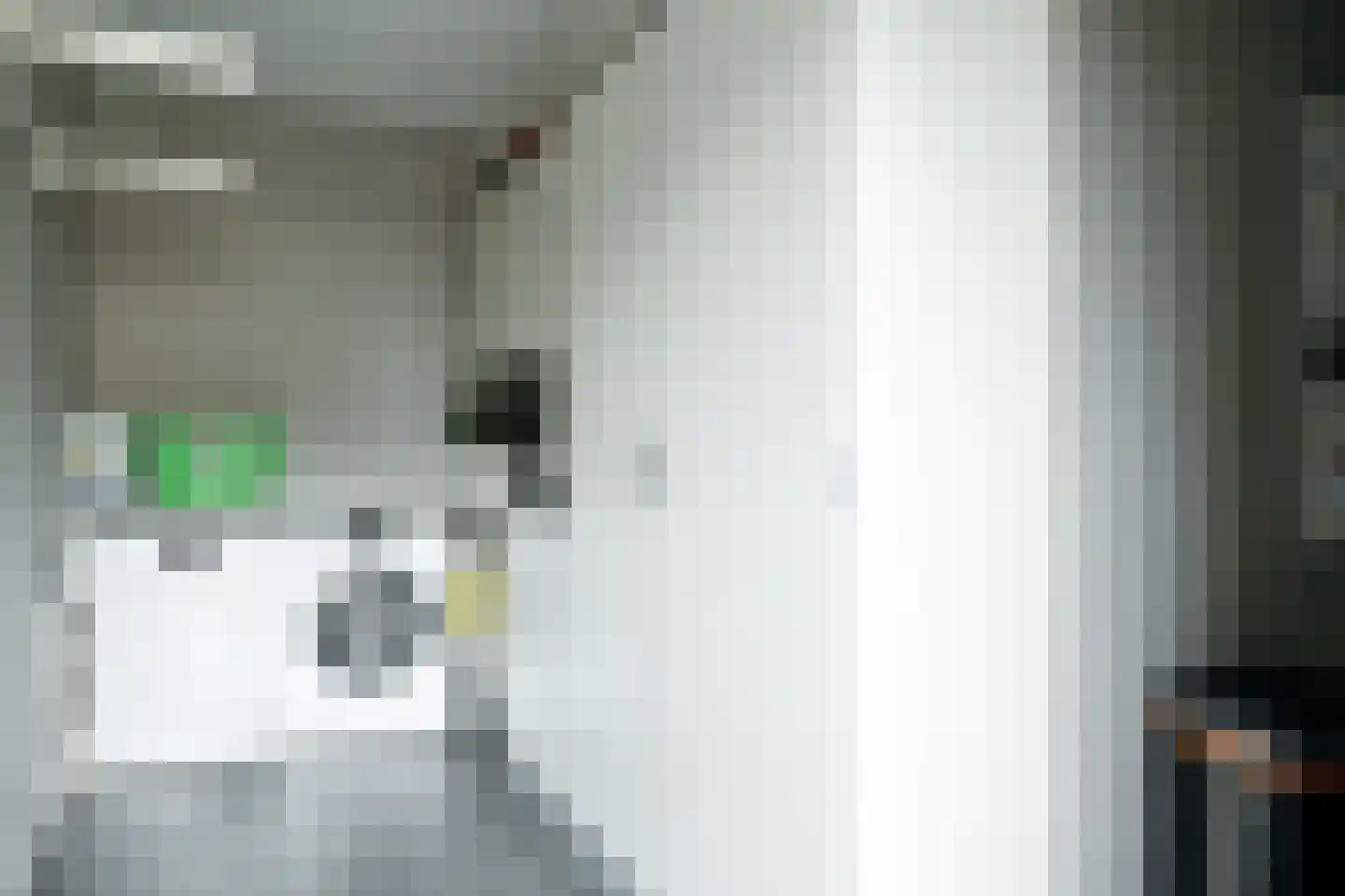 Amalialaan 27 Maasbracht thumbnail 42