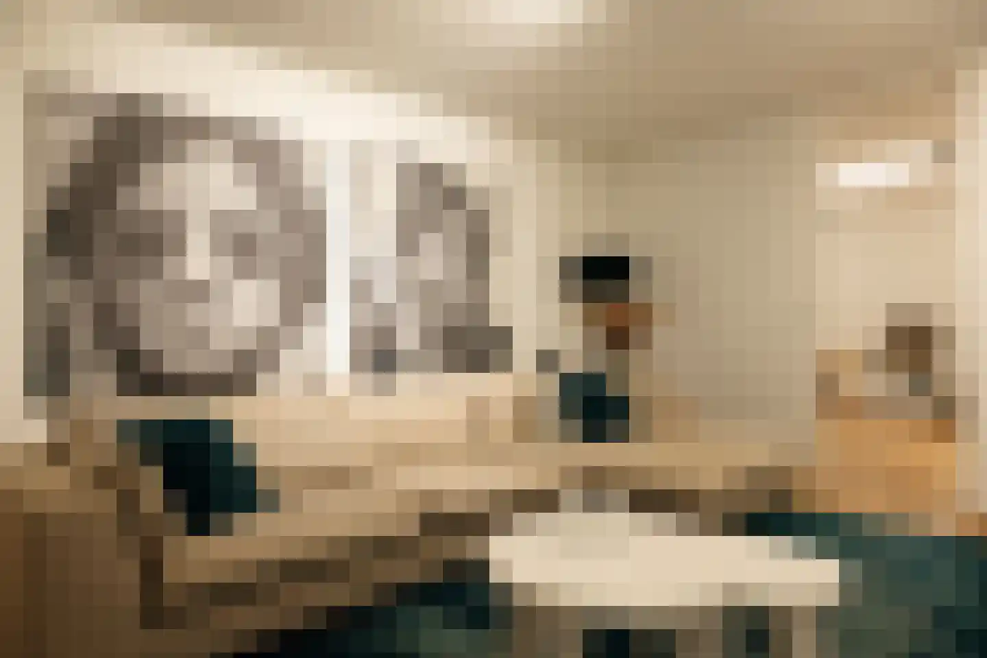 Amalialaan 27 Maasbracht thumbnail 43