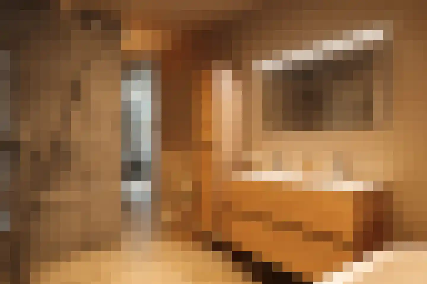 Amalialaan 27 Maasbracht thumbnail 57