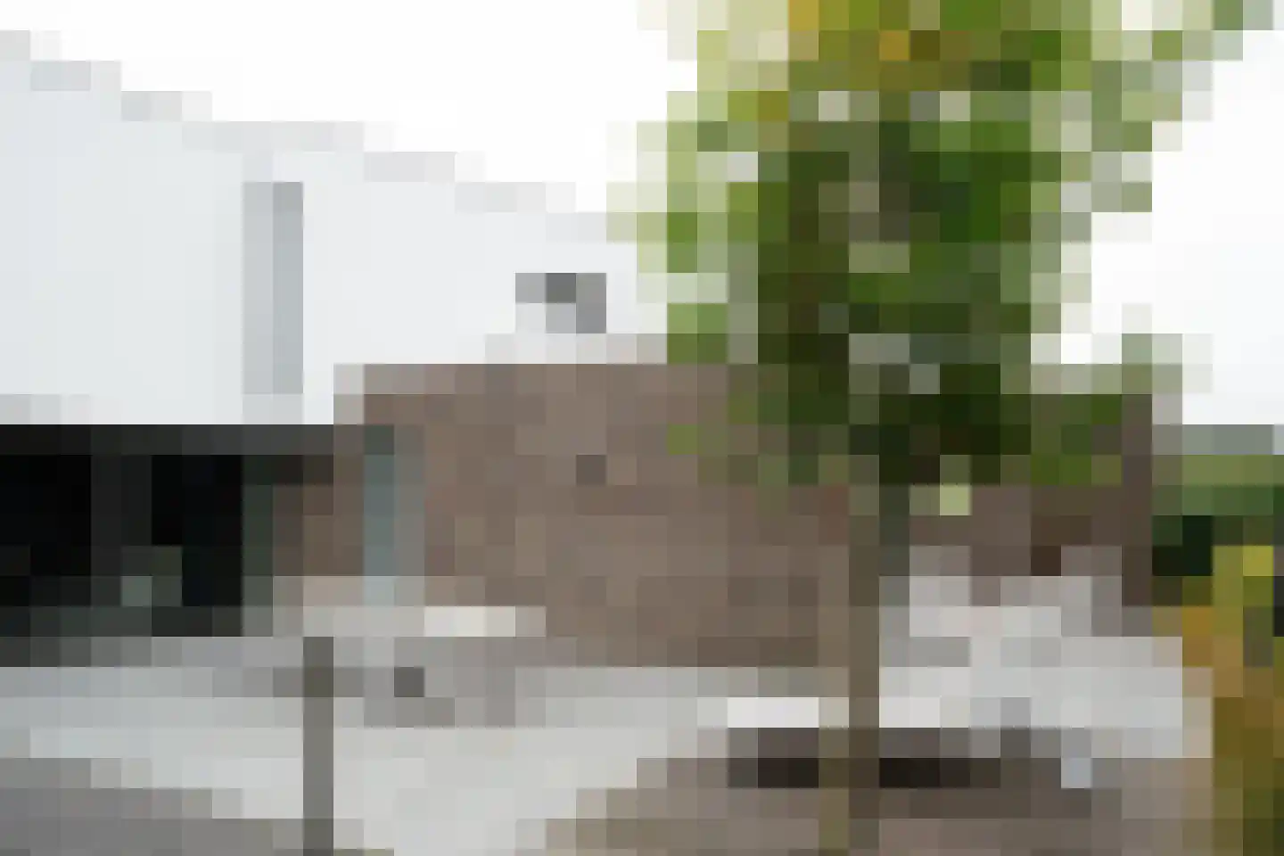 Amalialaan 27 Maasbracht thumbnail 6