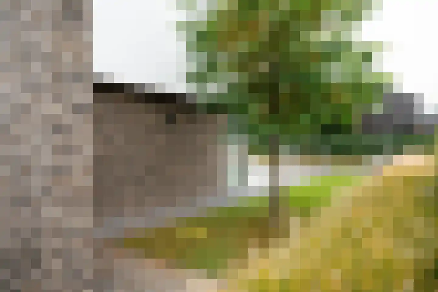 Amalialaan 27 Maasbracht thumbnail 8