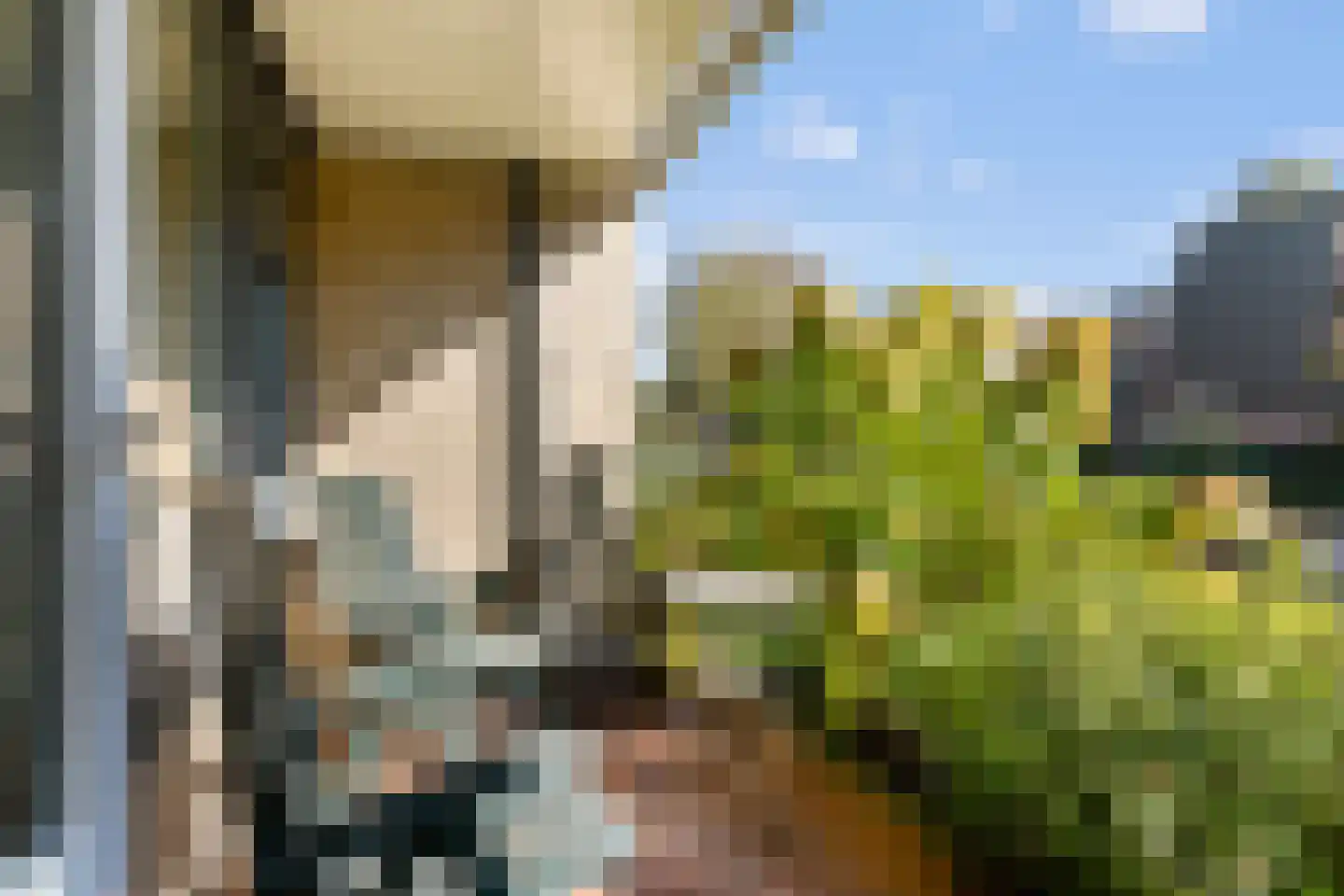 Amalialaan 6 Baarn thumbnail 4