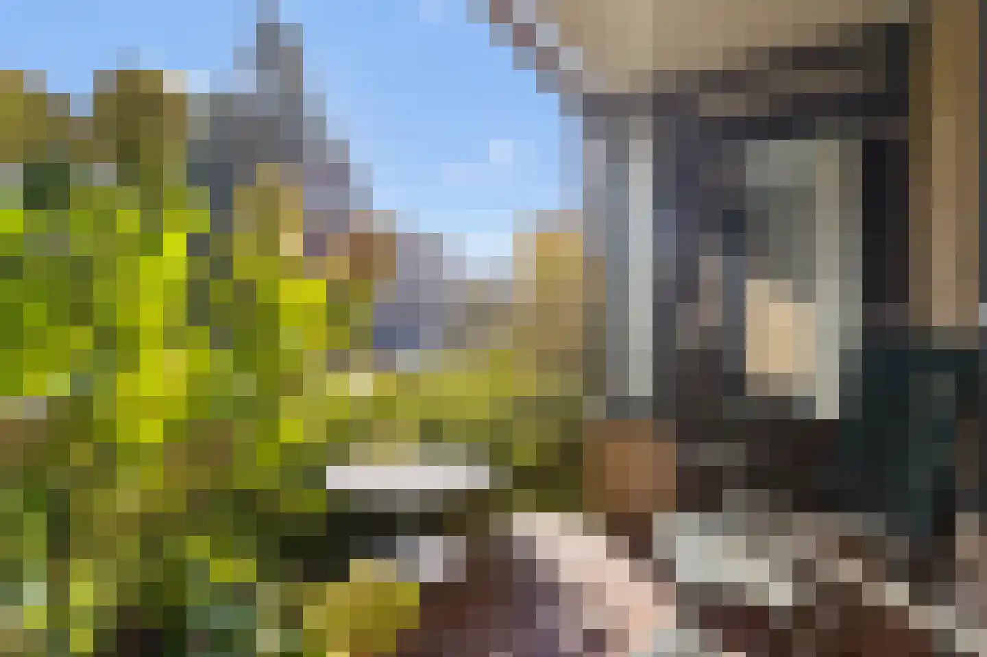 Amalialaan 6 Baarn thumbnail 5