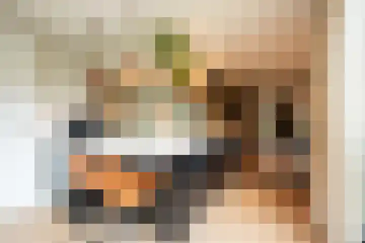 Amalialaantje 1 Bosschenhoofd thumbnail 13