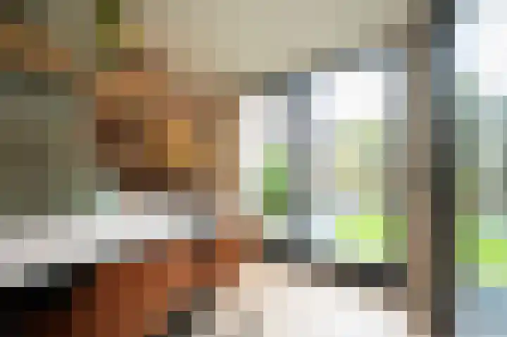 Amalialaantje 1 Bosschenhoofd thumbnail 14