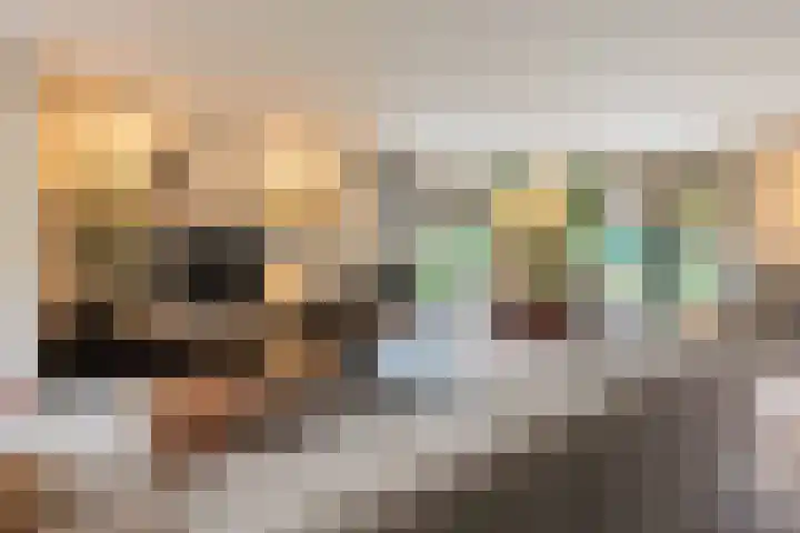 Amalialaantje 1 Bosschenhoofd thumbnail 20