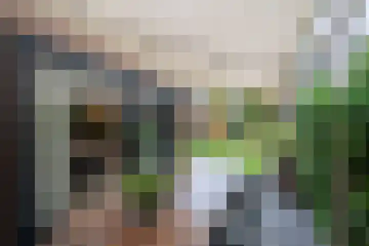 Amalialaantje 1 Bosschenhoofd thumbnail 23