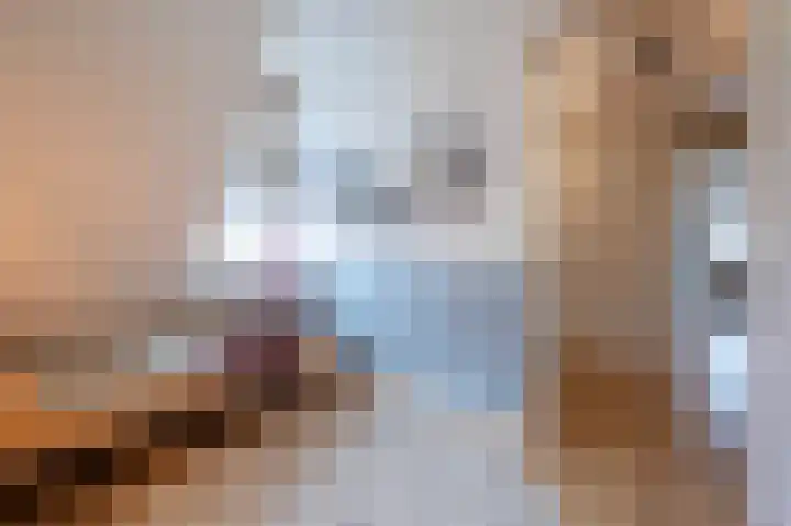 Amalialaantje 1 Bosschenhoofd thumbnail 29