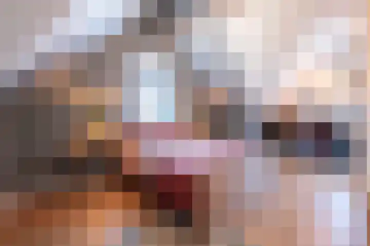 Amalialaantje 1 Bosschenhoofd thumbnail 33