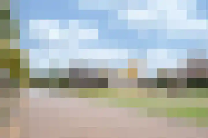Amalialaantje 1 Bosschenhoofd thumbnail 4