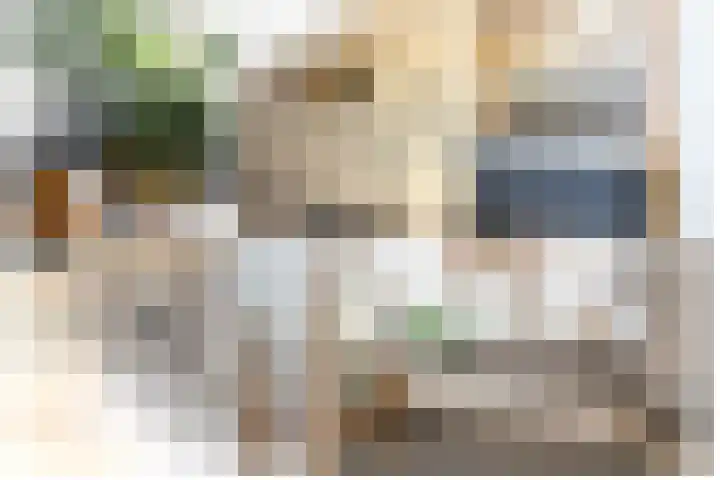 Amalialaantje 1 Bosschenhoofd thumbnail 42