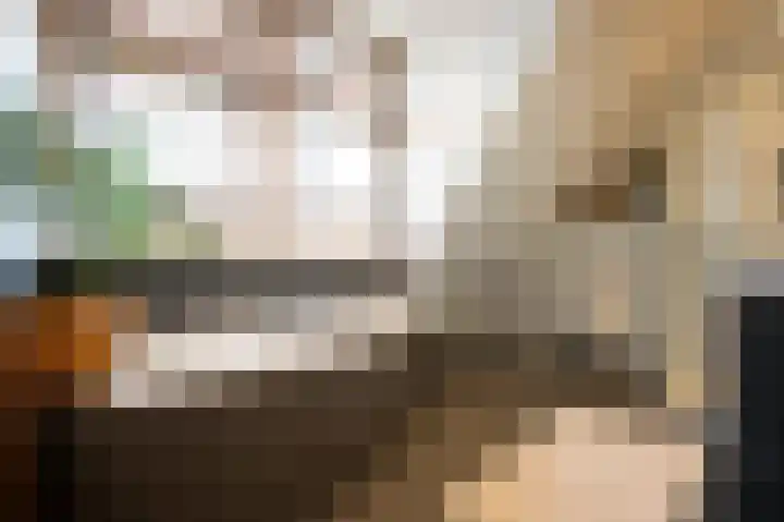 Amalialaantje 1 Bosschenhoofd thumbnail 43