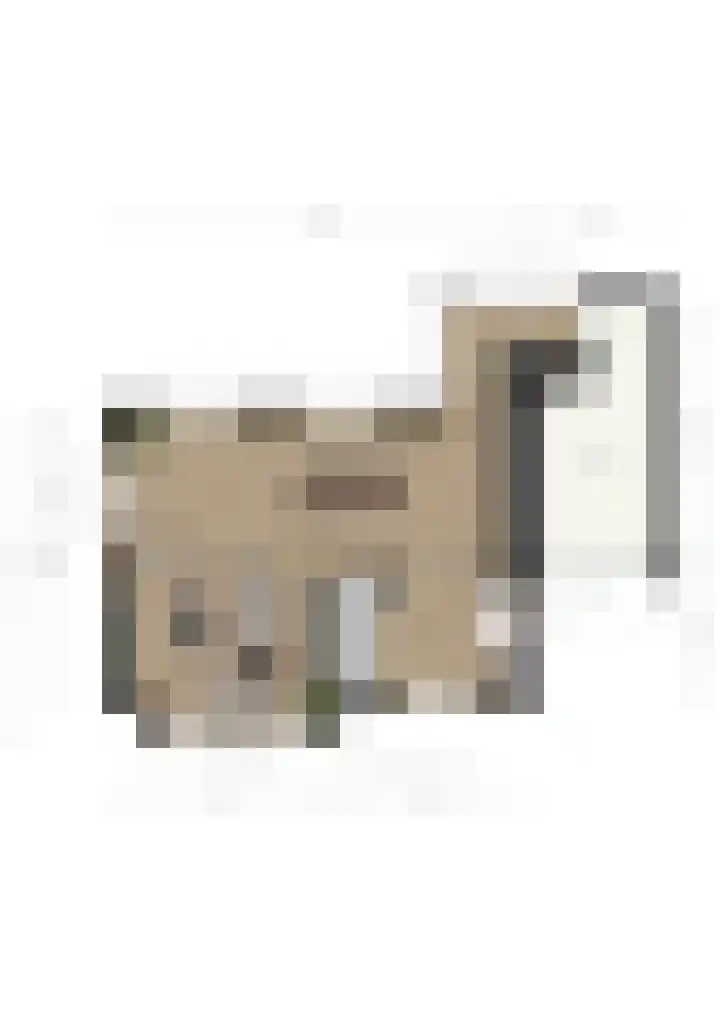 Amalialaantje 1 Bosschenhoofd thumbnail 48