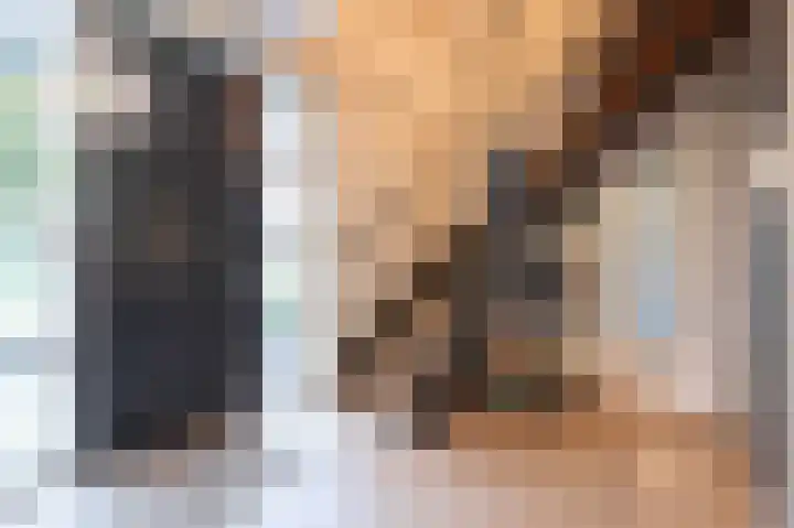 Amalialaantje 1 Bosschenhoofd thumbnail 7