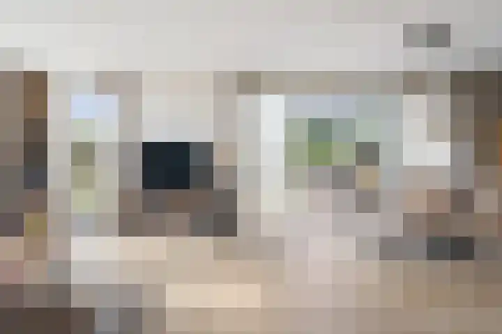 Amalialaantje 46 Bosschenhoofd thumbnail 10