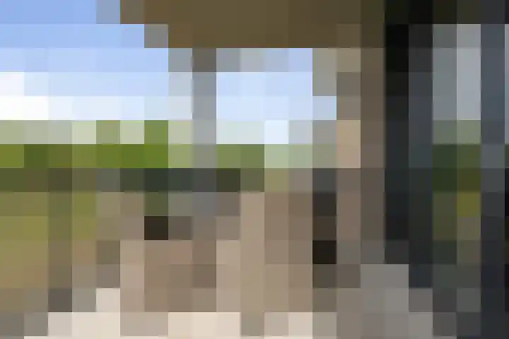 Amalialaantje 46 Bosschenhoofd thumbnail 15