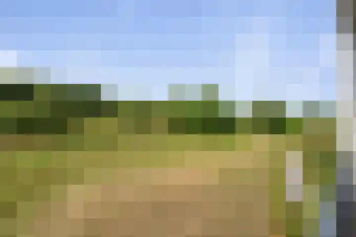 Amalialaantje 46 Bosschenhoofd thumbnail 17